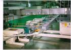 Used- Proctor Schwarz Natural Gas Flat Bed Drying System
