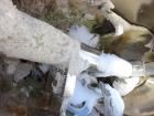 Used Processall Rotary Vacuum Dryer Plow Mixer, Model 1200