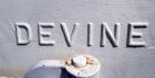 Used Devine Vacuum Shelf Dryer