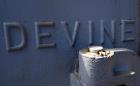Used Devine Vacuum Shelf Dryer