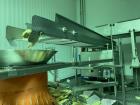 Used Stainless Steel Sanitary Vibratory Scale Feeder – 132” x 24” Dimple Pan | Rotary Scale Feed | Poultry
