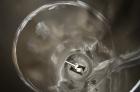Used K-Tron Screw Type Modular Loss In Weight Feeder, Model K2MLS60, Stainless Steel. Approximate 1-1/2” diameter x 20