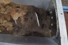 Used Metso Single Screw Plug Feeder.