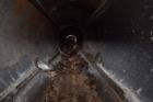 Used Metso Single Screw Plug Feeder.