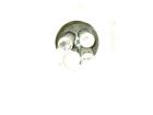 Used Schenk Accurate Volumetric Feeder, Type MOD602M. Stainless steel screw and spout, 2.25