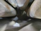 Used FSI / Filter Specialists Inc, Bag Filter
