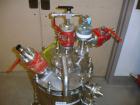 Used Steri Technologies Pressure Nutsche Filter