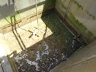 Used ALAR Rotary Vacuum Filter  Liquid / Solid Separation Unit.