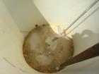 Used ALAR Rotary Vacuum Filter  Liquid / Solid Separation Unit.