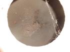 Used Eimco Rotary Drum Precoat Vacuum Filter