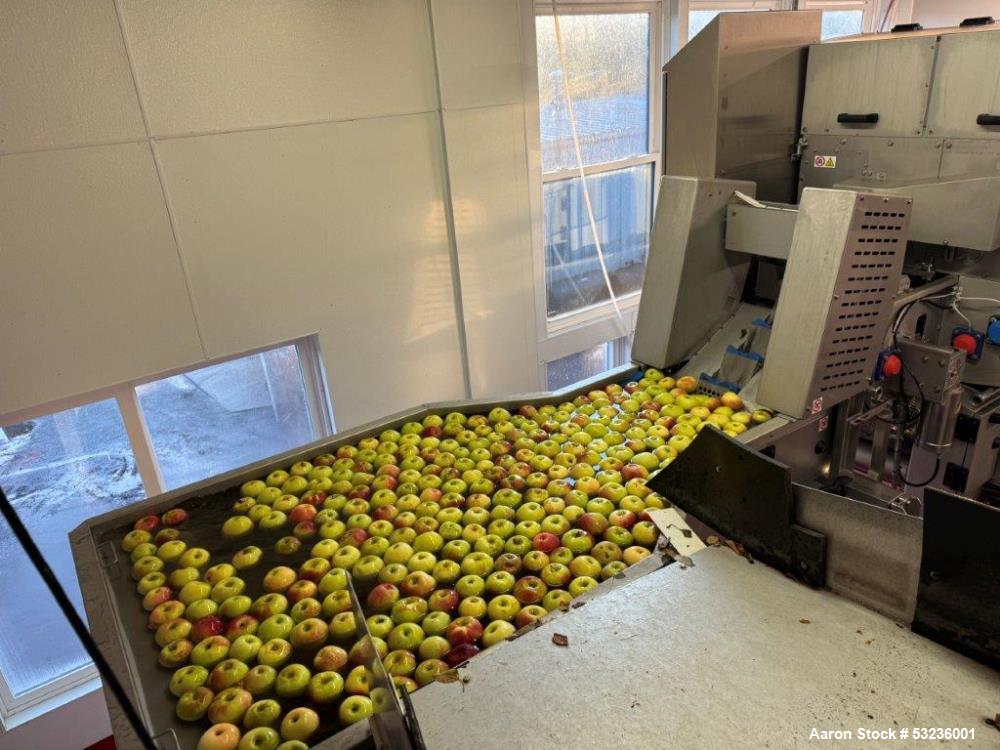 Used ABL PDS TT 50 Apple Peeler Corer – Stainless Steel, 250-500 kg/hr Capacity
