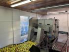 Used ABL PDS TT 50 Apple Peeler Corer – Stainless Steel, 250-500 kg/hr Capacity