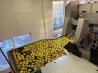 Used ABL PDS TT 50 Apple Peeler Corer – Stainless Steel, 250-500 kg/hr Capacity