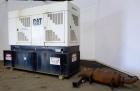Used Caterpillar 350 kW Standby Diesel Generator Set. CAT model 3406 engine rated 519 HP at 1800 RPM, SN-4ZR06144. 3/60/277/480V currently set up at 480V reconnectable to other voltages. Generator mo...
