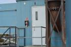 Used Solar Saturn 800 kW Natural Gas Turbine Package.