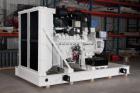 Blue Star Power Systems 425 kW Natural Gas Generator Set, Model D219TICHO.