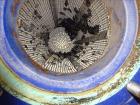Used Alfa Laval Plate Type Heat Exchanger, Model MX25-BFG, 2906 Square Feet, Ve