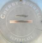 Used Cherry Burrell Plate Heat Exchanger, Model SLAS-100. Approximately 250 square feet, 304 stainless steel. (94) 13 1/2