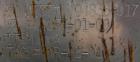USED: Tranter Superchanger plate heat exchanger, model UX-056-UJ-26, 15.2 square feet, 304 stainless steel. (26) Approximately 8