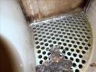 Used Harris Thermal Transfer Products 4 Pass U Tube Shell & Tube Heat Exchanger