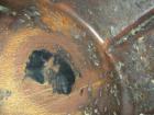 USED: Patterson Industries ball mill, carbon steel. Jacketed chamber, approximately 42