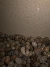 Used Paul O. Abbe Ceramic Ball Mill