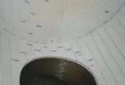 Used Paul O Abbe Pebble Mill, Model 5AS