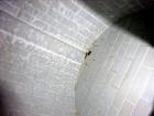 Used Paul O. Abbe Ball Mill, Model 6PM, Brick Lined.