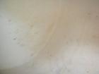 Used U.S. Stoneware Ceramic Ball Mill, 24