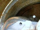 Used Carbon Steel California Century Series Pellet Mill, Model 100C