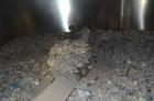 Used Munch Pellet Mill System Consisting Of: (1) Vecoplan incline feed conveyor, approximate 60