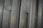 Used Munch Pellet Mill System Consisting Of: (1) Vecoplan incline feed conveyor, approximate 60