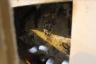 Used Gundlach Heavy Duty Roll Crusher, Model 3020D, Carbon Steel.