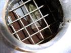 Used Carbon Steel Mikro pulverizer, model 3TH