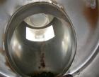 Used Stainless Steel Patterson Kelley Continuous Zig-Zag Blender, model 12