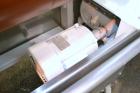 Used Peerless Double Arm Sigma Mixer, 30 Gallon, Model 30GAL, 304 Stainless Steel. Non-jacketed bowl 23