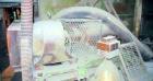 Used Marion Paddle Mixer, 266 Cubic Feet, Model 4200, Carbon Steel. Approximately 54