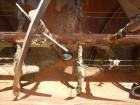 Used Young Machinery Paddle & Ribbon Blender, Size 12 42-10-0, Approximate 90