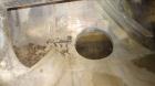 Used Stainless Steel Haagen & Rinau Paddle Mixer Dryer, Type HSM 1200 KV