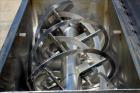 Used Ribbon Blender