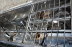 Used American Process Equipment Ribbon Blender
