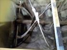 Used The Strong Scott Mfg Co. Double Spiral Ribbon Blender