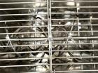 Used 20 Cubic Ft. Scott Stainless Steel Ribbon Blender