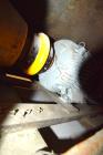 Used Royal Peerless Single Arm Dough Mixer, Model 7SD