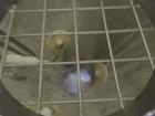 Used Vac-U-Max Bulk Bag Unloader Model 104122.