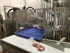 Used Flexopack IV450 Rotary Vacuum Sealer with iShrink Tunnel – Meat Packaging