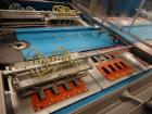 Used Algus Model 16S-1216 3EE Carousel Blister Sealer