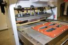 Used Alloyd Aergo 2 Plus Semi Automatic Shuttle Style Blister Sealer.