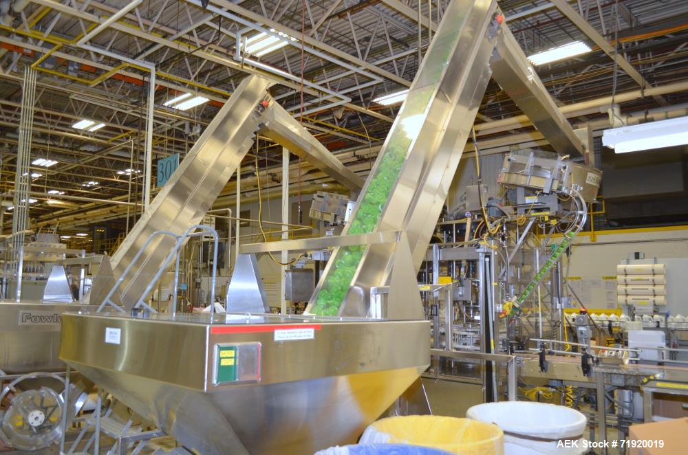 Used Fowler / Zalkin 6-Head Rotary Capping and Sorting System