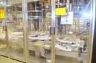 Used- Fowler / Zalkin 6-Head Rotary Capping and Sorting System
